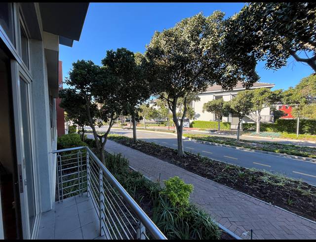 116M² OFFICE TO LET IN CENTURY CITY